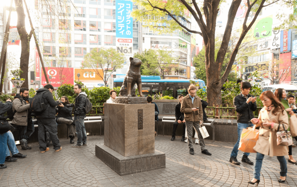 Foto de la emblemática estatua de Hachiko, conocido también como "Hachi" por la estación de Shibuya en Tokio