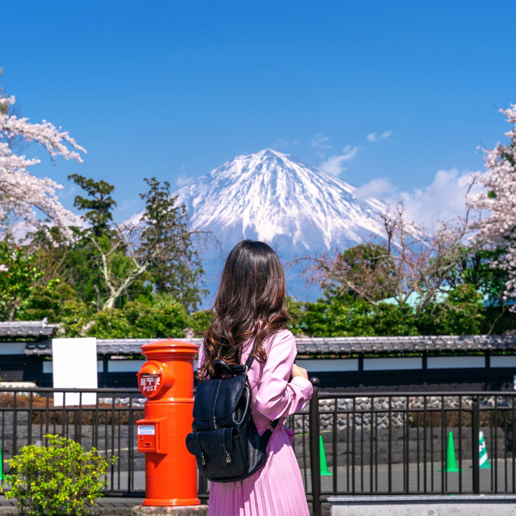 Turista mirando hacia el monte Fuji en Japón durante primavera