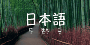 ¿Por qué aprender japonés?